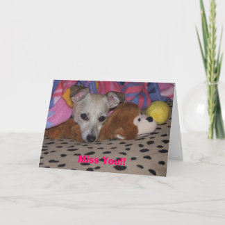 Fräulein Sie! Karte