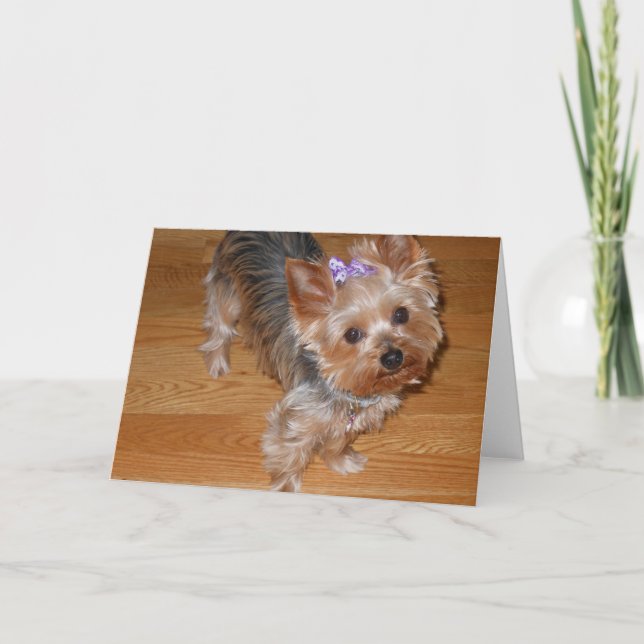 Fräulein You Karte (Vorderseite)