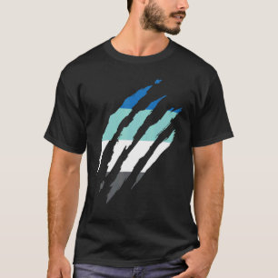 Fraysexual Prior Flag Cat Scratch Fraysexual Ignot T-Shirt