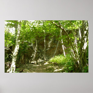 Frazier Discovery Trail bei Shenandoah Fotografie Poster