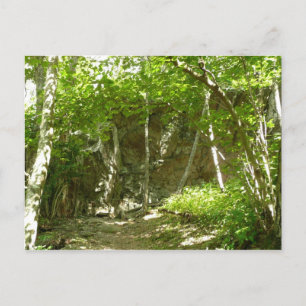 Frazier Discovery Trail bei Shenandoah Fotografie Postkarte
