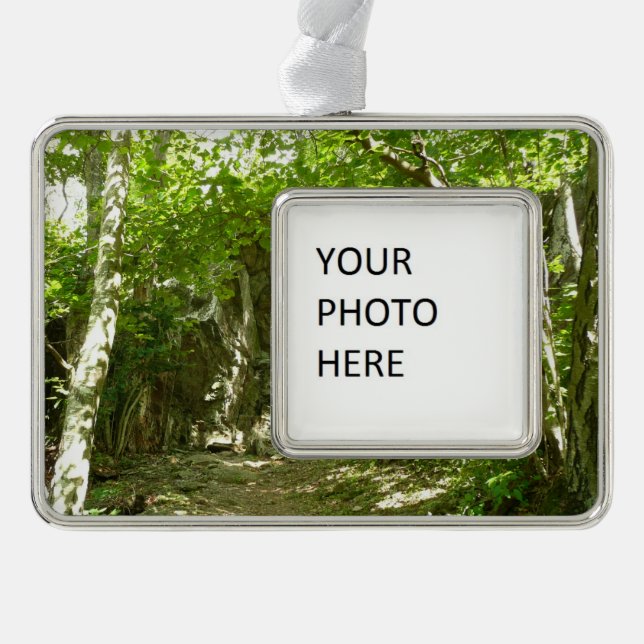 Frazier Discovery Trail bei Shenandoah Fotografy Rahmen-Ornament Silber (Vorderseite)