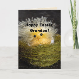 FRAZZLED CHICK GRANDPA EASTER CARD DANKESKARTE