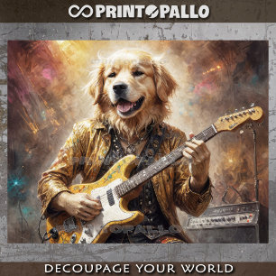 Freak Golden Retriever spielt Gitarre beim Konzert Seidenpapier