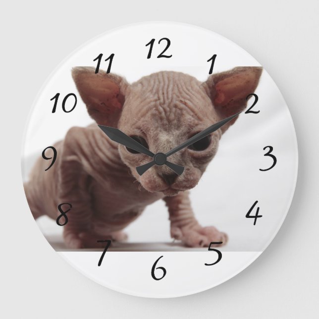 Freaky Cute Furless Sphynx Kitten Große Wanduhr (Vorderseite)