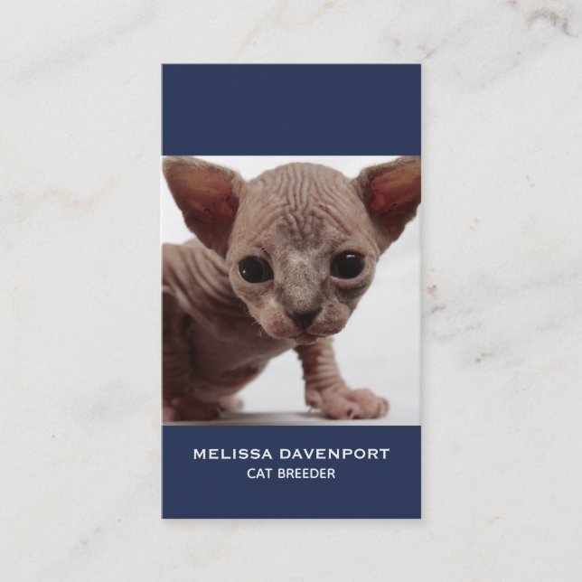 Freaky Niedlich Furless Sphynx Kitten Visitenkarte (Vorderseite)
