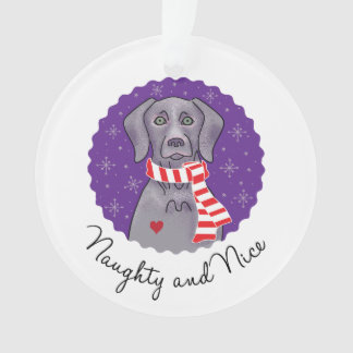 Freche und Nizza Verzierung Ornament
