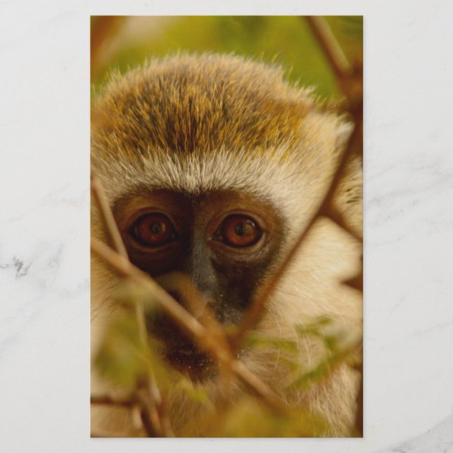 Frecher Affe. Briefpapier (Vorderseite)