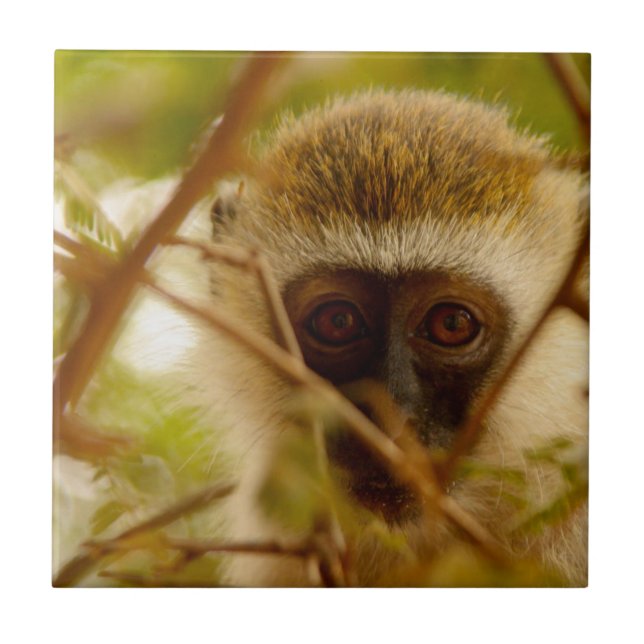 Frecher Affe. Fliese (Vorderseite)