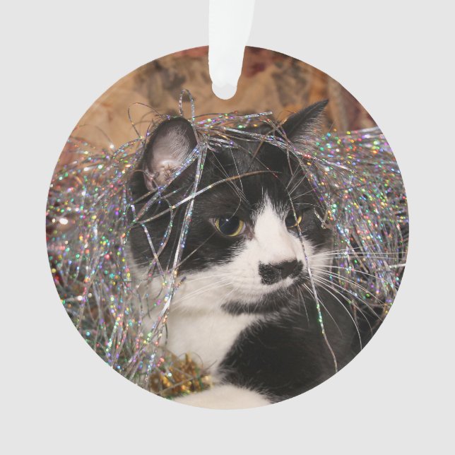 Freches Smokings-Miezekatze Weihnachten Ornament (Vorderseite)