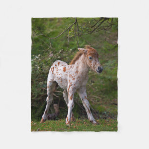 Freckles Fleece Blanket