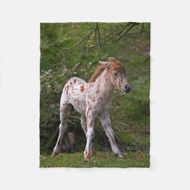Freckles Fleece Blanket (Vorderseite)