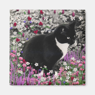 Freckles in Blume II Magnet - Tuxedo Cat