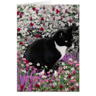 Freckles in Blume II - Schwarz-weiß Tuxedo Kitty