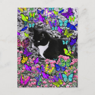 Freckles in Butterfells II - Tux Kitty Cat Postkarte
