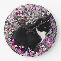 Freckles in den Blumen II - Schwarzweiss-Katze