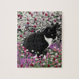 Freckles in den Blumen II - Tuxedokitty-Katze