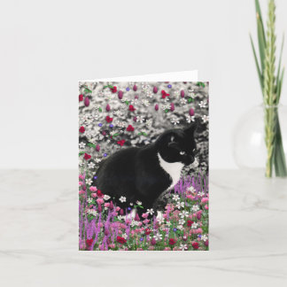 Freckles in den Blumen II - Tuxedokitty-Katze Karte