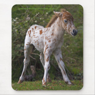 Freckles Mousemat Mousepad