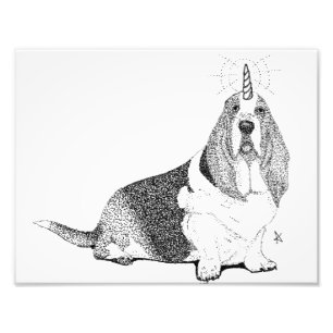 Fred the Bassetcorn Fotodruck