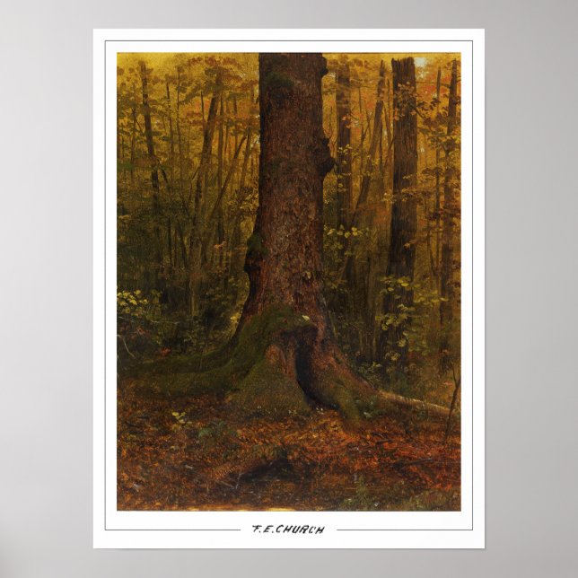 Frederic Edwin Church Fine Art #18 Poster (Vorne)