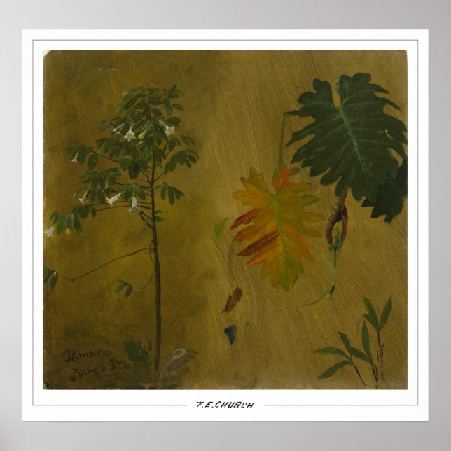 Frederic Edwin Church Fine Art #48 Poster (Vorne)