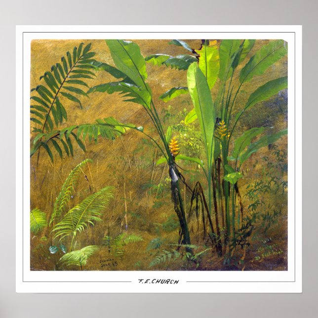 Frederic Edwin Church Fine Art #651 Poster (Vorne)