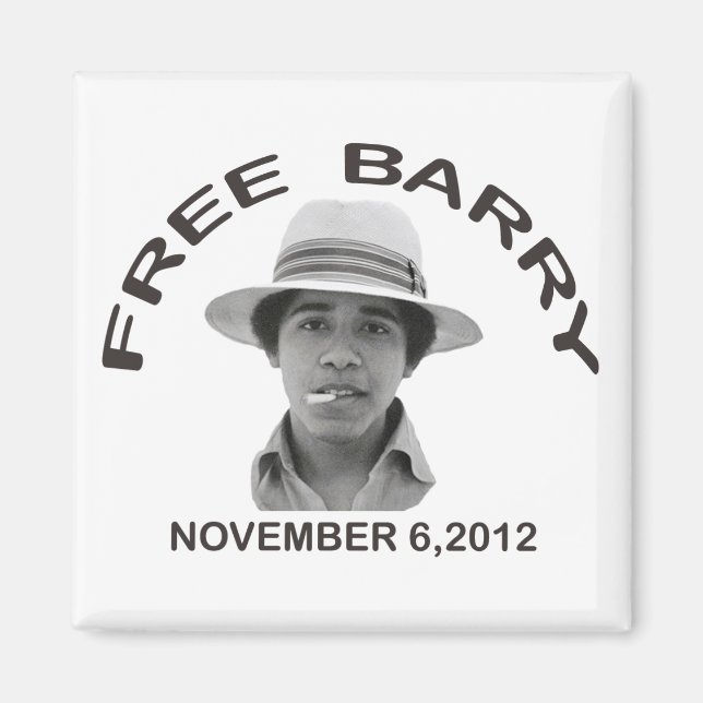 FREE BARRY Magnet (Vorne)
