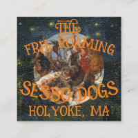 FREE ROAMING SESSO HUNDE HOLYOKE MA MASSUCHUSETTS