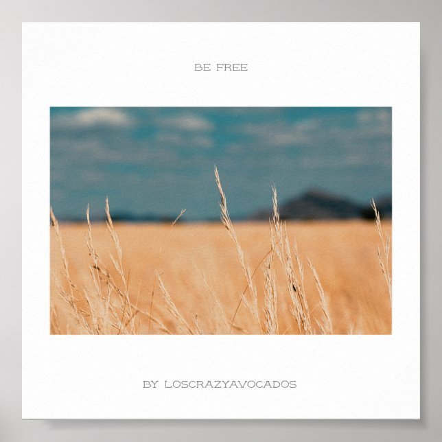 Free Savannah Golden Grass Africa Poster (Vorne)