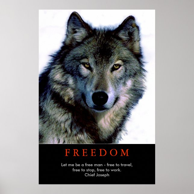Free Spirit Motivational Wolf Eyes Poster Imprimer (Devant)