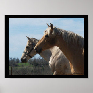 Free Spirit, Poster de l'amant du cheval - Grand