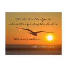 Freedom Bible Verse, Vogel fliegen bei Sonnenunter
