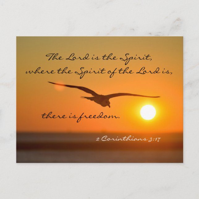 Freedom Bible Verse, Vogel fliegen bei Sonnenunter Postkarte (Vorderseite)