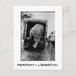 Freedom = Freiheit Postkarte