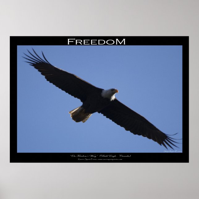 FREEDOM ~ Motivational Poster (Vorne)