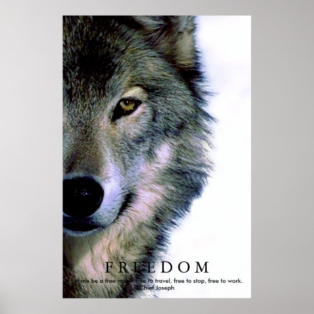 Freedom Motivierend Wolf Eye Poster (Vorne)