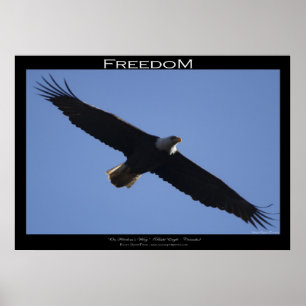 FREEDOM ~ Poster de motivation