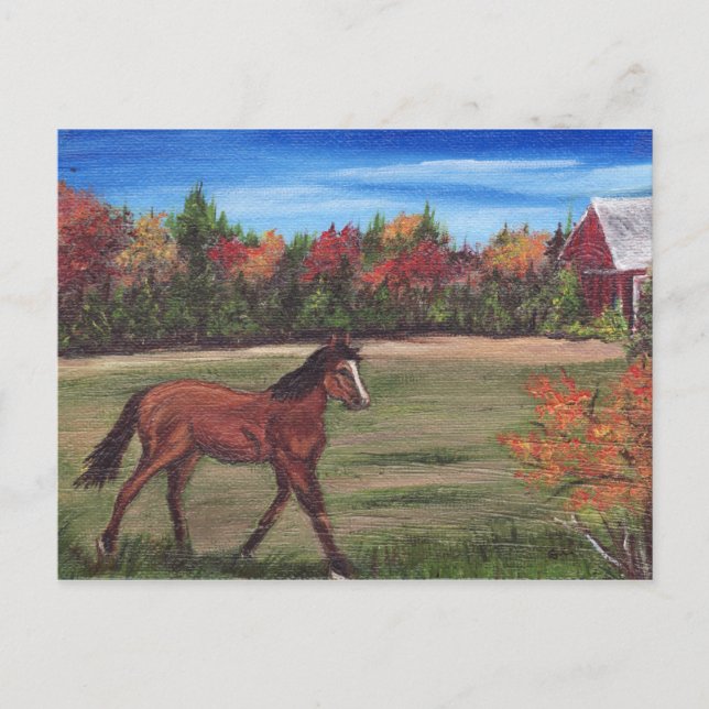 Freedom Run Postcard Postkarte (Vorderseite)