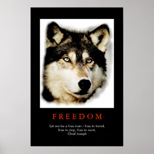 Freedom Spirit Motivationsposter Wolfsaugen Poster