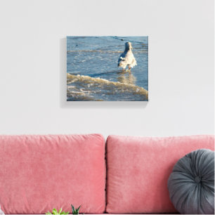 Freeland Mutiny Bay Bird Ripple Fotografie Leinwanddruck