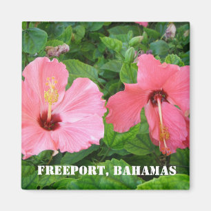 Freeport, Bahamas Magnet