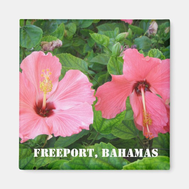 Freeport, Bahamas Magnet (Vorne)
