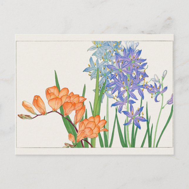Freesia, afrikanische Lilie von Tanigami Konan Postkarte (Vorderseite)