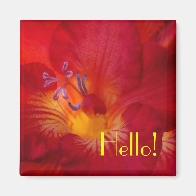 Freesia Hallo! Magnet (Vorne)