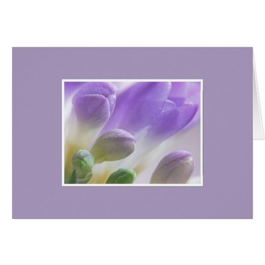 Freesia-Knospen Karte