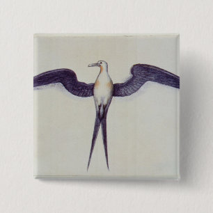 Fregatte-Vogel Button
