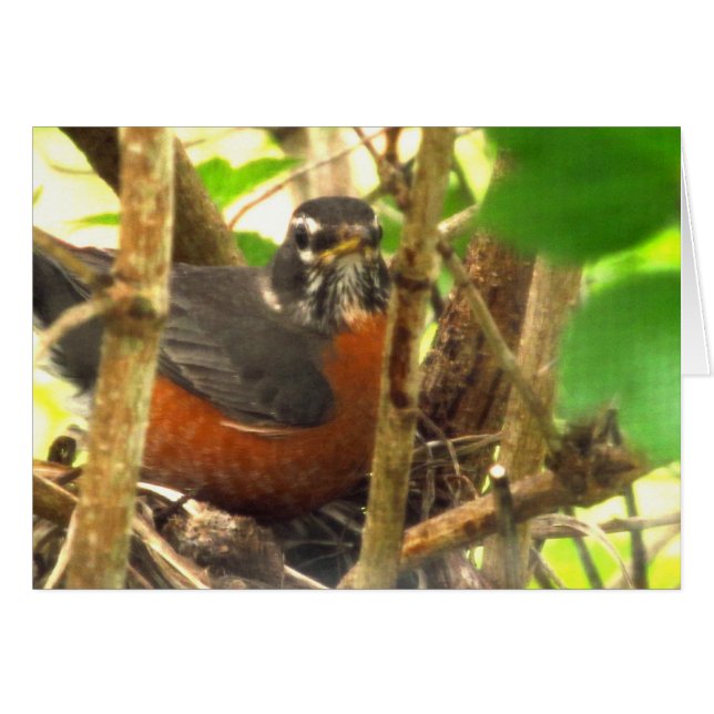 frei (Vorderseite (Horizontal))