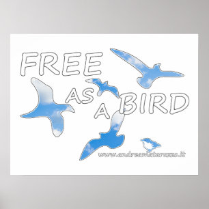 Frei als Vogel Poster