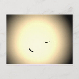 frei in den Himmel schießende Vögel Postkarte